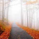 5 lugares que no debes perderte: turismoa accesible en España